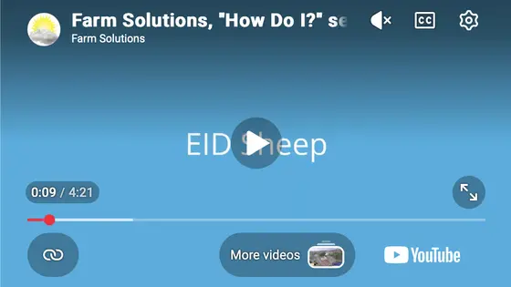 Recording A Mixed Sheep Scan Video Guide thumbnail